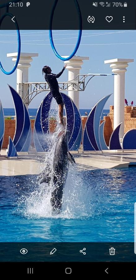 Granada City Alanya Luxury Appartment 800М От Пляжа Клеопатра Eksteriør bilde